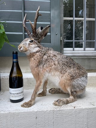 our wine with patio decorations at Linden Hofkeller